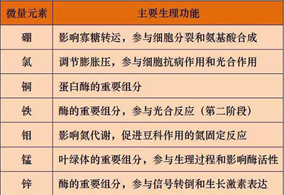 全自动91香蕉视频精品厂家微量元素的对人体的生理作用 全自动91香蕉视频精品厂家微量元素的对人体的生理作用